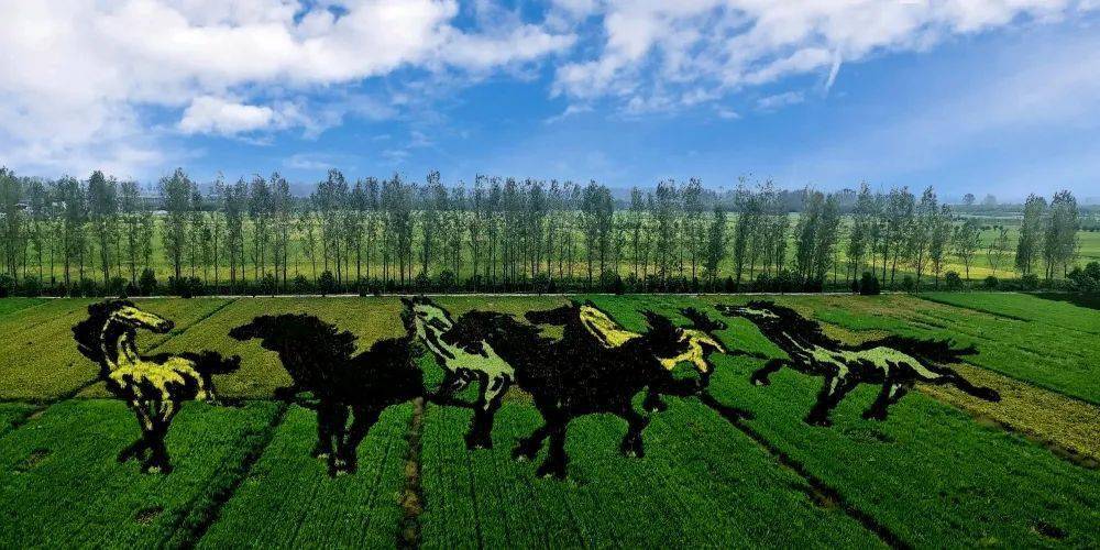 贵州球队重庆市北川,质的胜利 贵州球队重庆市北川,质的胜利