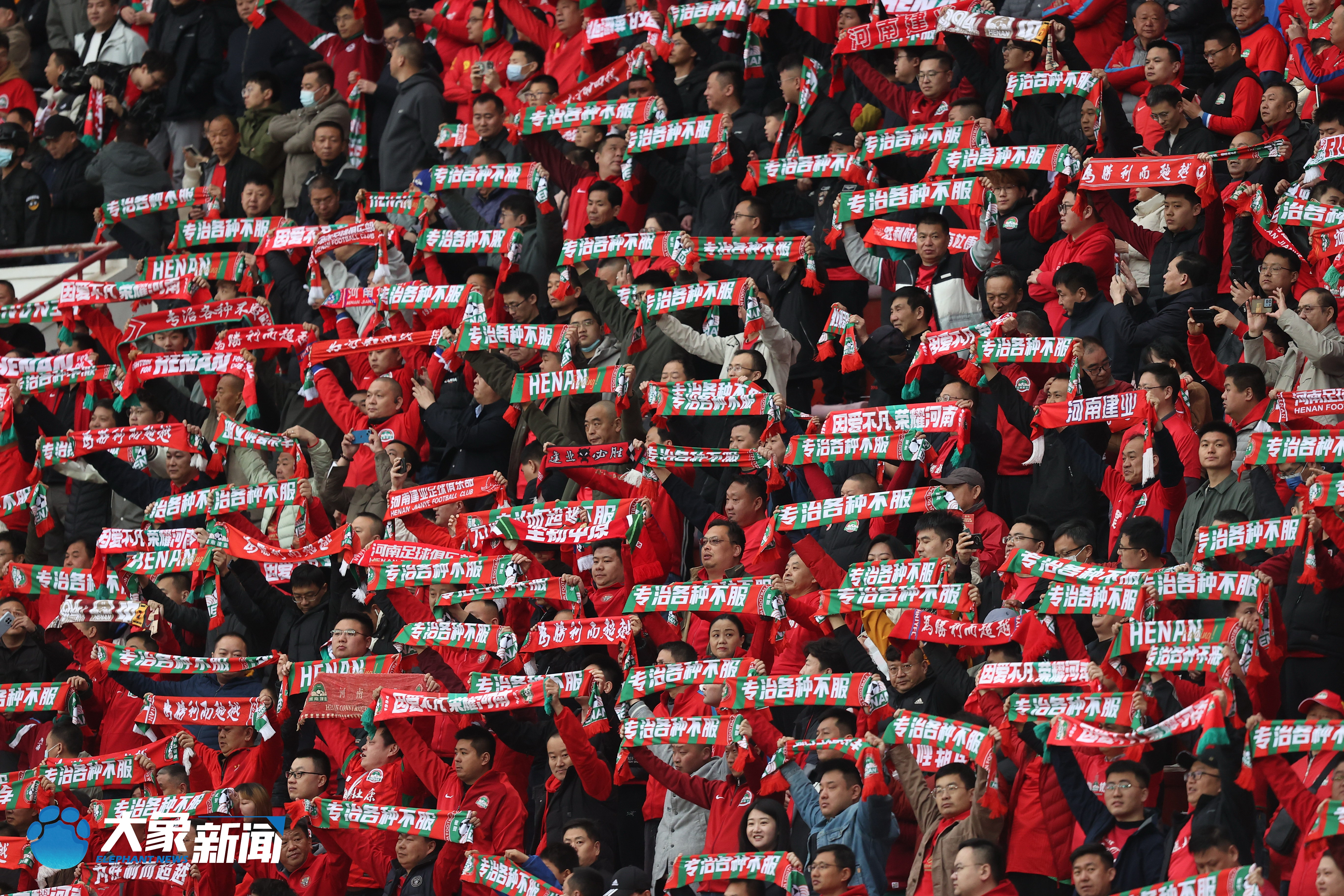 河南队在场上奋力拼搏，打出精彩表现